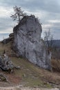 GÃÂ³ra ZborÃÂ³w Berkowa GÃÂ³ra - a rocky hill within the village of Podlesice in the ÃÅ¡lÃâ¦skie Voivodeship